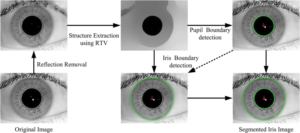 IRIS Recognition System using Matlab Project Thesis/Report Free Download