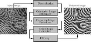 Fingerprint Image Enhancement using Matlab Project Thesis/Report Free Download Pdf