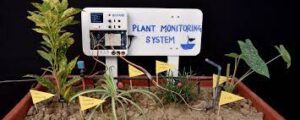 IoT based Smart Plant Monitoring System Project Thesis/Report Free Download Pdf